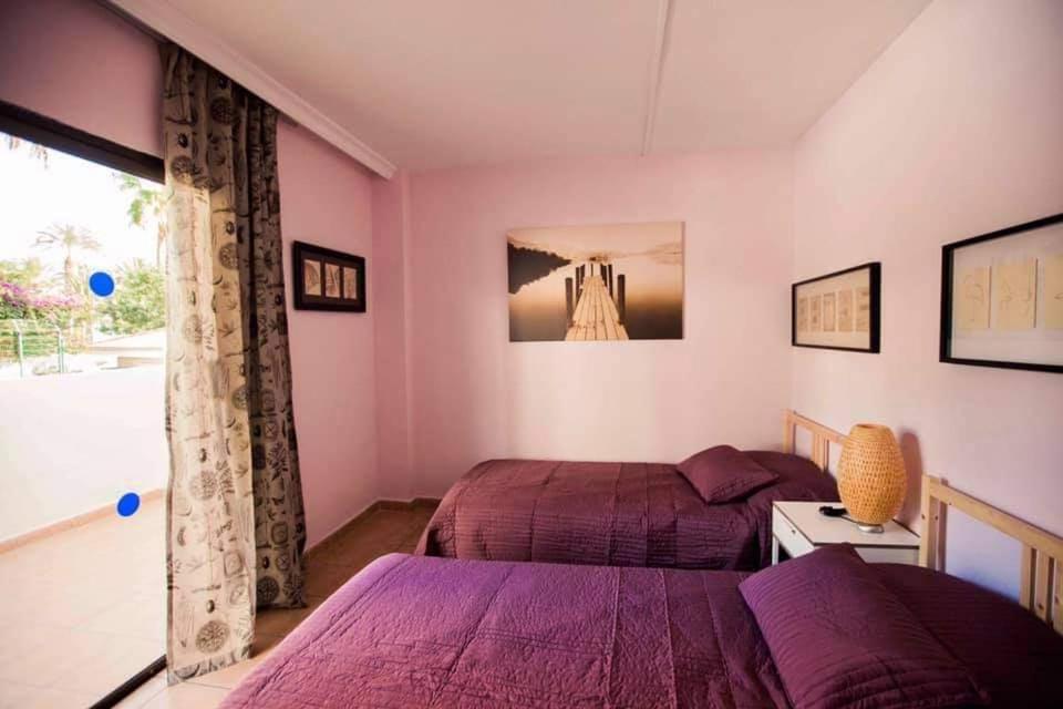 Apartment Avenida Puig Arona  Eksteriør billede